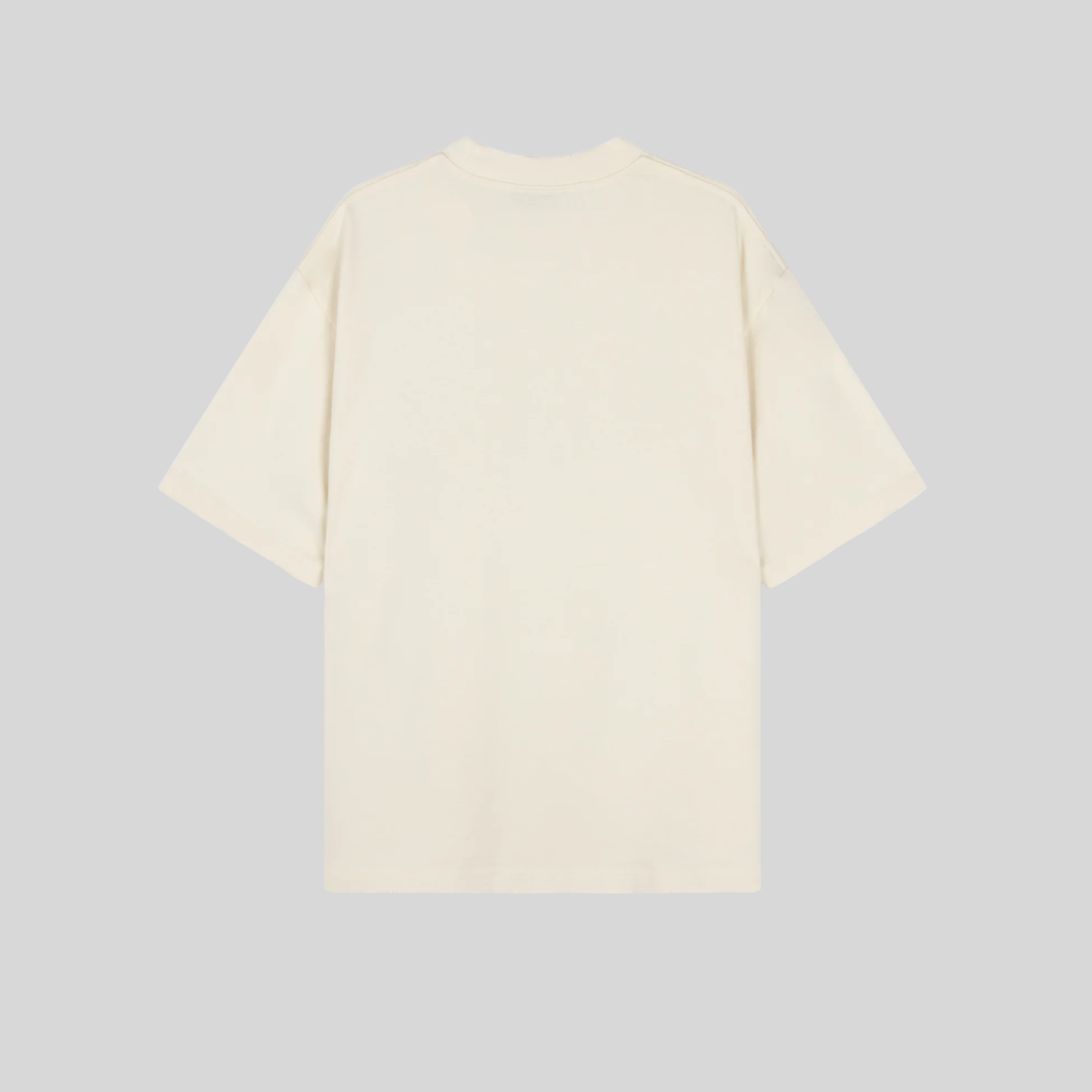 DAYDREAMS DISTRESSED TSHIRT RIVERO